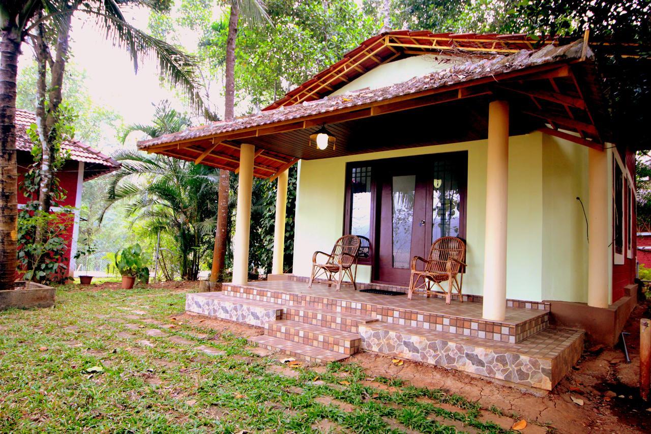 Pepper Green Wayanad Resort With Swimming Pool Kattikkulam Exterior photo