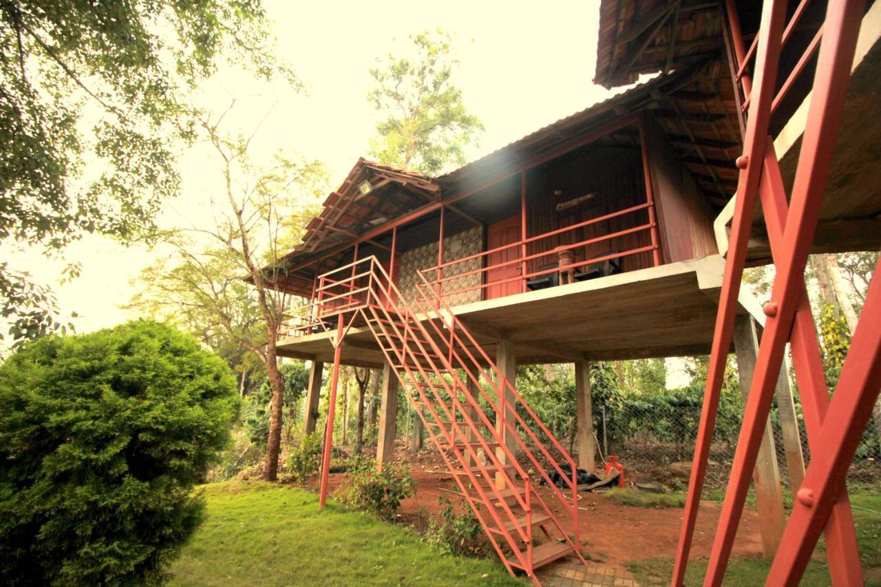 Pepper Green Wayanad Resort With Swimming Pool Kattikkulam Exterior photo