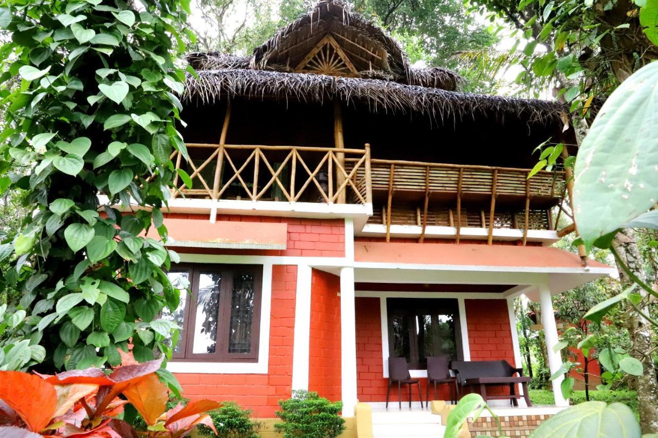 Pepper Green Wayanad Resort With Swimming Pool Kattikkulam Exterior photo