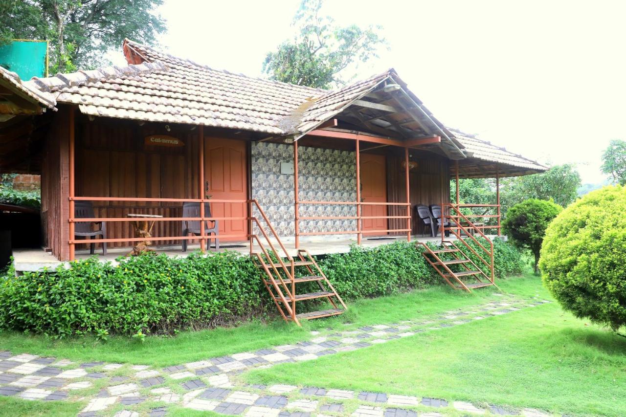 Pepper Green Wayanad Resort With Swimming Pool Kattikkulam Exterior photo