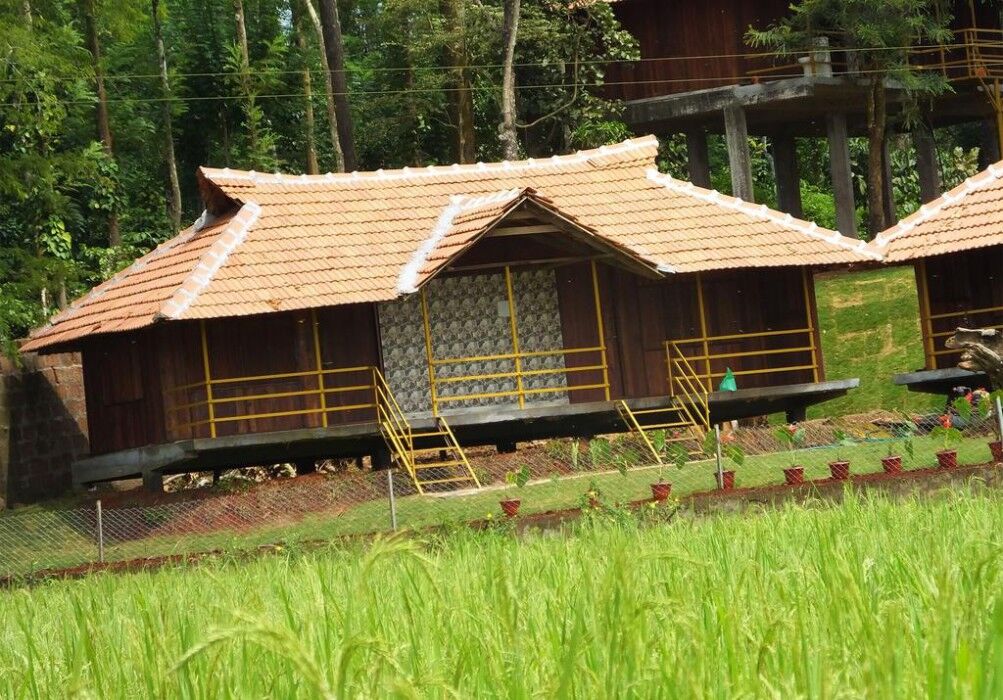 Pepper Green Wayanad Resort With Swimming Pool Kattikkulam Exterior photo