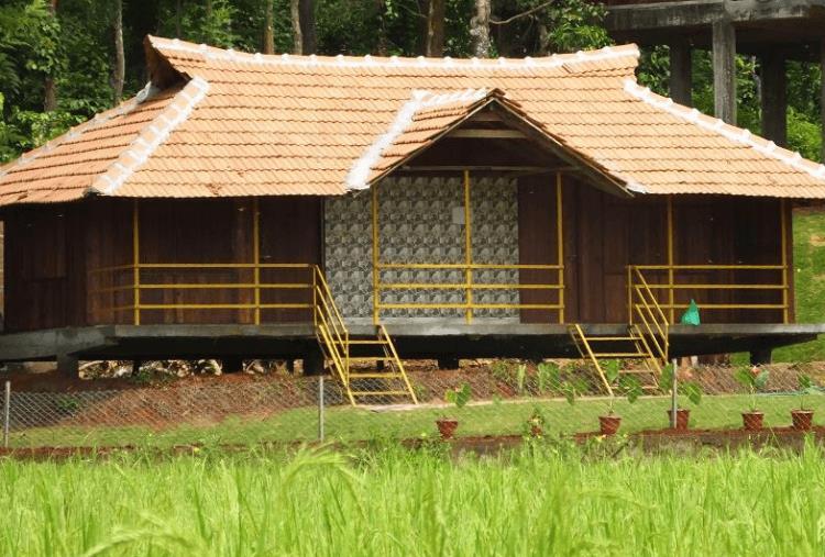 Pepper Green Wayanad Resort With Swimming Pool Kattikkulam Exterior photo